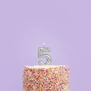 Candle Silver Number 5