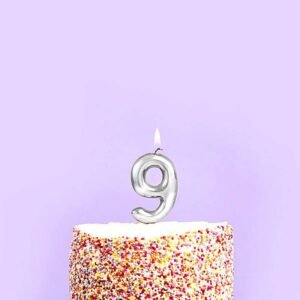 Candle Silver Number 9
