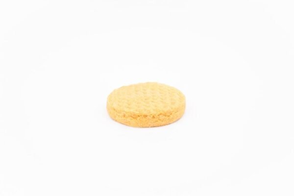 dsc01310_1 Sugar Free Biscuit