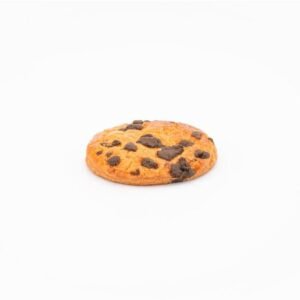 dsc01333_1 Chocolate Chip Biscuit