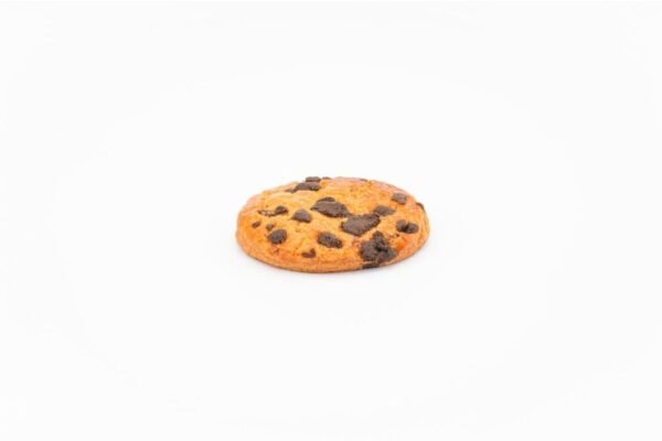 dsc01333_1 Chocolate Chip Biscuit